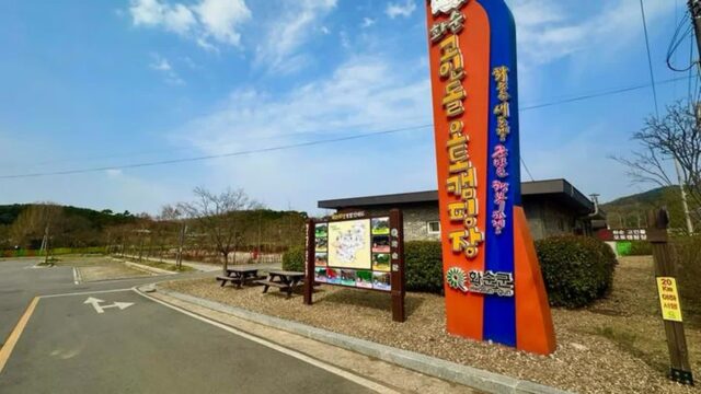 “고인돌 바로 옆에서 캠핑을?”… 3만㎡ 넓게 펼쳐진 역사적 힐링 명소