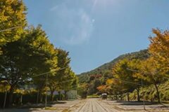 “10만㎡ 숲과 계곡이 이렇게 가까웠다니!”… 자연 속 힐링 여행지