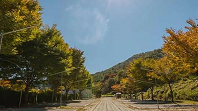 “10만㎡ 숲과 계곡이 이렇게 가까웠다니!”… 자연 속 힐링 여행지