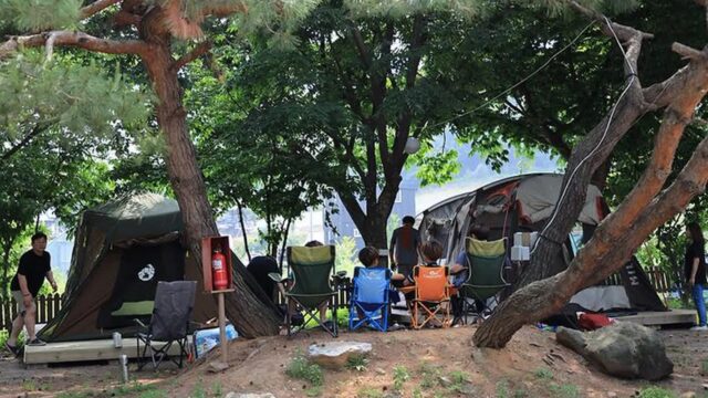 “0.5평방킬로미터라니, 아늑한 낙원 같아요”… 자연과 하나 되는 황산도캠핑장 명소