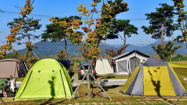 “10,000㎡ 규모라니, 이렇게 넓은 캠핑장이?”… 가족끼리 즐기는 자연 속 명소