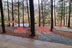“50,000㎡ 숲길에서 이런 치유를!”… 광주 인근 피톤치드 향기 가득한 명소