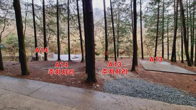 “50,000㎡ 숲길에서 이런 치유를!”… 광주 인근 피톤치드 향기 가득한 명소