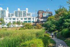 충북 호암지생태공원 체험, 자연과 함께하는 충주 여행