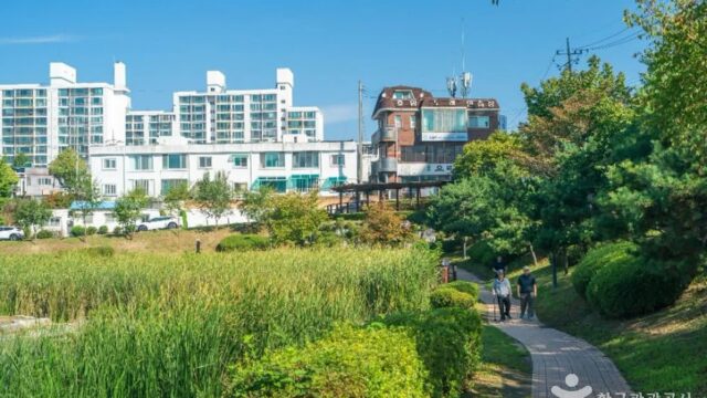 충북 호암지생태공원 체험, 자연과 함께하는 충주 여행
