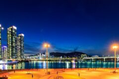 부산 용호별빛공원 축제, 여름밤 빛의 향연