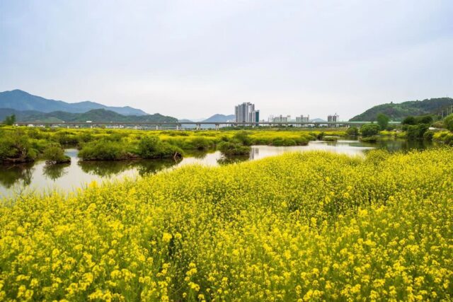 남포동 가볼만한곳 BEST 6 — 2026 여행 가이드