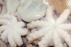 포인트만 쏙쏙! 낙지 손질 꿀팁