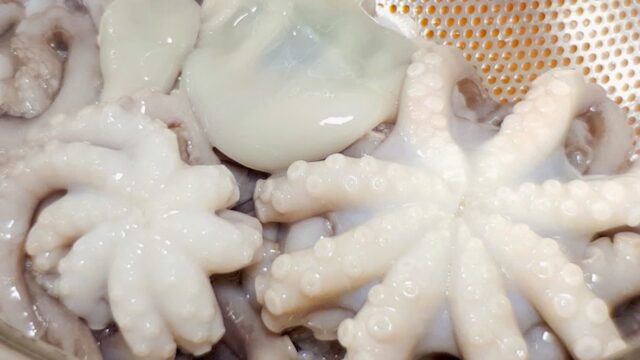 포인트만 쏙쏙! 낙지 손질 꿀팁