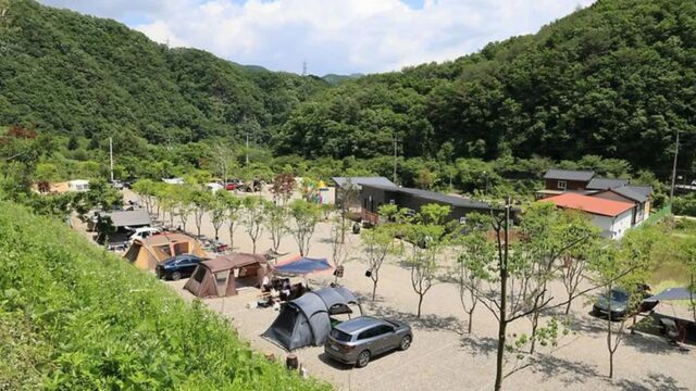 “반려견과 함께 진짜 특별한 시간을?”… 여름철 인기 화악산 계곡 옆 애견동반 캠핑 명소