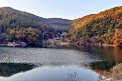 경기 산우물 북 캠핑장, 사계절 즐기는 안성의 축제 명소
