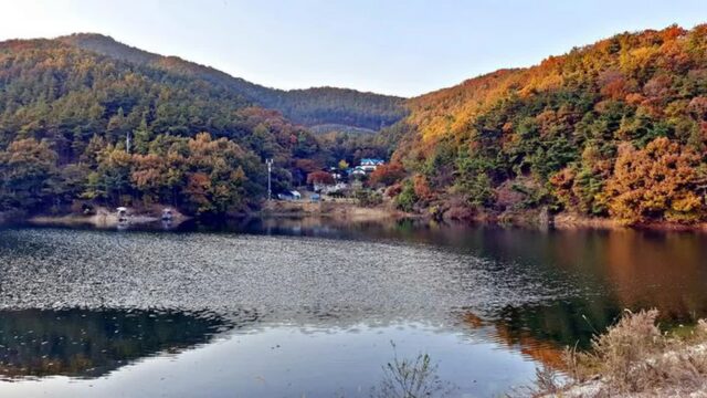 경기 산우물 북 캠핑장, 사계절 즐기는 안성의 축제 명소