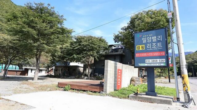 “50대 주차 공간이 이렇게 여유롭다니…” 자연과 어우러진 캠핑 경험 명소