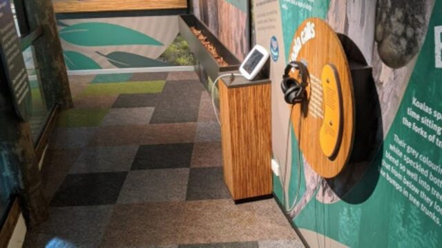 “철창 너머 감상은 그만”…브리즈번 외곽에서 호주 야생동물 만나는 이색 스폿 5