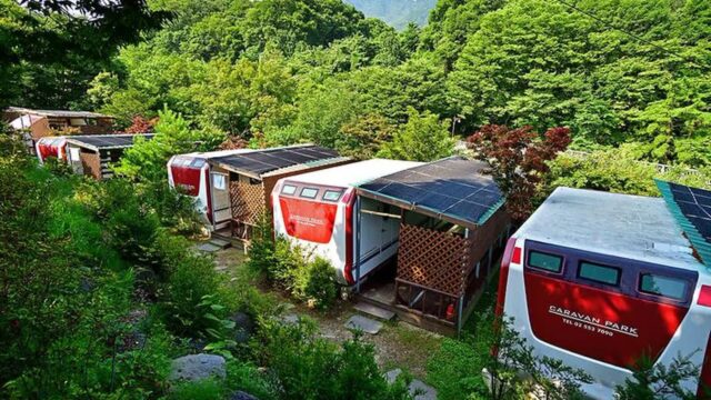 “진짜 맑은 물이 흐른다니?”… 100m 따라 펼쳐진 청정 계곡 여행지