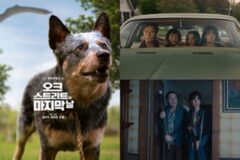 [MOVIE 비하인드] ‘오크 스트리트의 마지막 날’, 앤 해서웨이는 8년 기다리고 스타벅은 둘이었다
