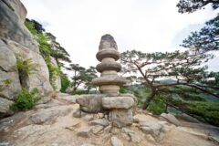 경주 가볼만한곳 2026년 가을 시즌 여행 코스 BEST 5