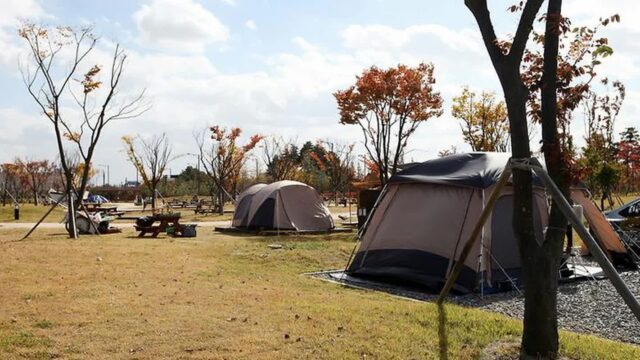 “서울에서 30분 거리라니 놀라워요”… 3,000평 자연 만끽 명소
