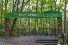 부산 백양산 웰빙숲 체험, 도심 속 자연 산책로