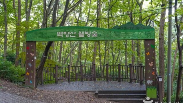 부산 백양산 웰빙숲 체험, 도심 속 자연 산책로