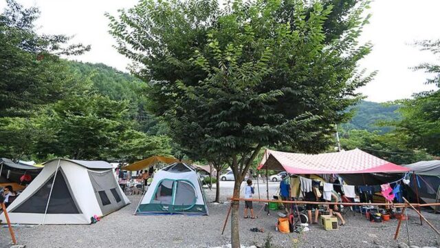 “경남 산청에 이런 곳이?”…약 10,000㎡ 반려동물 오토캠핑 명소