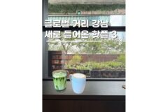강남 핫플 놀거리 새로생긴 글로벌 브랜드 3곳