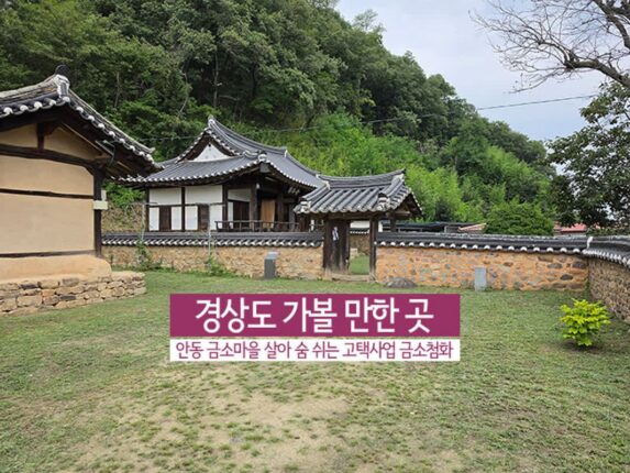 경상도 가볼 만한 곳 안동 금소마을 금소첨화 국내 힐링여행
