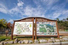 상주 가볼만한곳 추천 6곳 — 2026 최신판