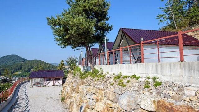 “도심에서 50km 떨어진 곳에 이런 곳이?”… 반려동물과 자연 속 힐링 여행지