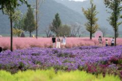 [여행+秋캉스] “하늘부터 바람까지 다 다르다”…초가을 감성 저격할 ‘경남 핫플’ 5선