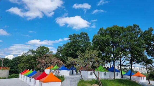 “20,000㎡ 숲에서 이렇게 힐링한다고?”…도심 10km 내 자연 쉼터 여행지