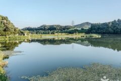 중대물빛공원 축제, 경기 가을 억새와 함께하는 여행