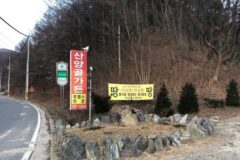 충북 산양골가든 맛집, 수육과 한적한 분위기의 조화
