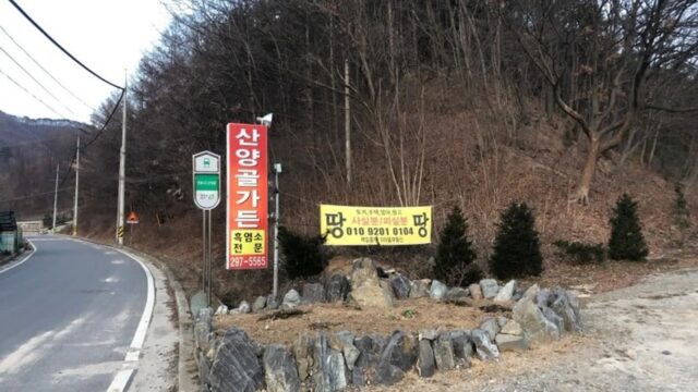 충북 산양골가든 맛집, 수육과 한적한 분위기의 조화