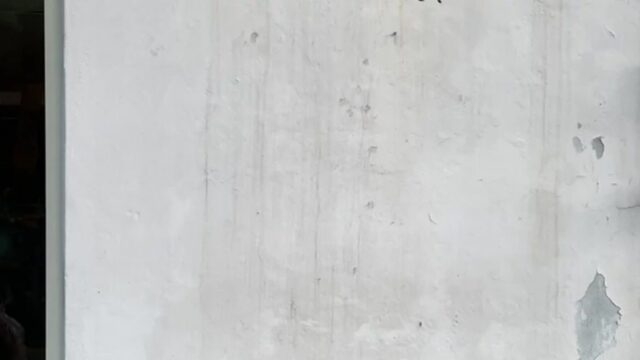 “200평 자연 속에 숨어있는 이런 카페라니…” 서울의 힐링 명소