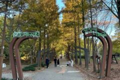 인천대공원 치유숲길 축제, 부산 방문객도 추천하는 힐링 명소