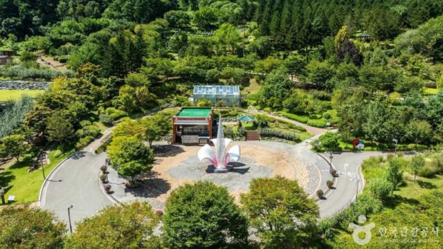강원 무궁화수목원 숙소, 자연 속 힐링 여행지