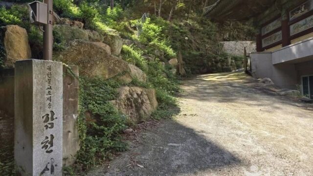 감천사(부산) 산책, 가을 억새 감상하기 좋은 장소