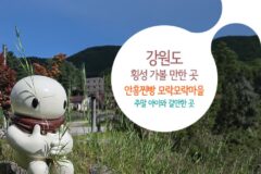 강원도 횡성 가볼 만한 곳 | 안흥찐빵 모락모락마을 주말 아이와 갈만한 곳