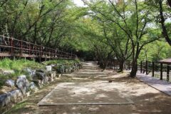 “해발 900m에서 이렇게 캠핑을 즐길 수 있다니”… 자연과 역사 어우러진 명소