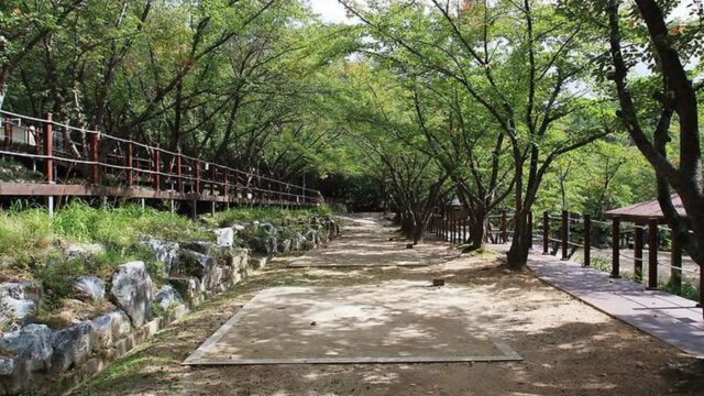“해발 900m에서 이렇게 캠핑을 즐길 수 있다니”… 자연과 역사 어우러진 명소