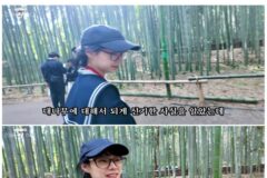 진돌유튭보다 알게된 사실 “대나무가 꽃을 피우면 대나무숲 전체가 죽어버린다”