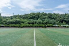 경기 부곡체육공원 축제, 자연 속 가을 나들이 명소