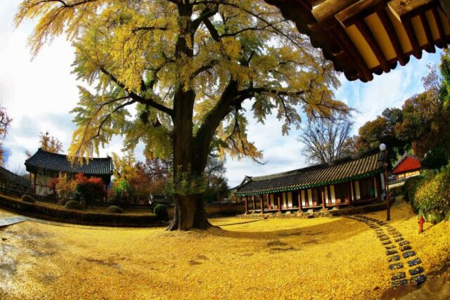 전주 한옥마을 가볼만한곳 추천 6곳 — 2026 가을 최신 가이드