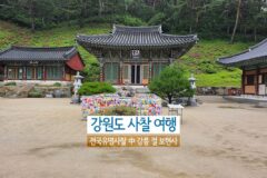 강원도여행 전국유명사찰 비오는날여행 강릉절 보현사