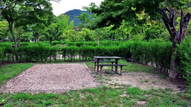 “놀라워라, 숲 속 50그루 나무 아래 캠핑!”… 백양사와 함께하는 전남광주 자연 여행지