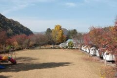“충북 괴산에 이런 곳이?”… 30만 평 자연 속 글램핑 명소