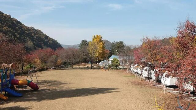 “충북 괴산에 이런 곳이?”… 30만 평 자연 속 글램핑 명소