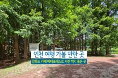 인천 여행 가볼 만한 곳 강화도 카페 메타포레스트 사진 찍기 좋은 곳