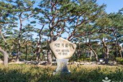 충북 의림지 솔밭공원, 자연 속 평온한 숙소 체험